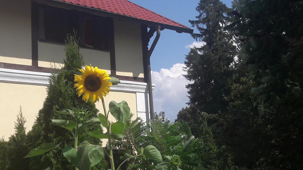 Penzion Pod Orechom Turčianske Teplice Esterno foto
