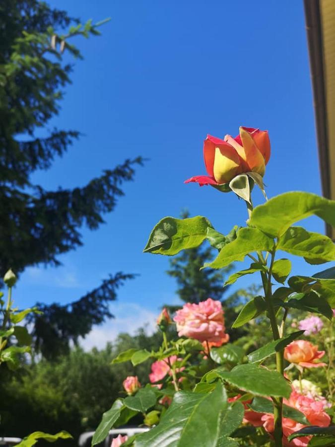 Penzion Pod Orechom Turčianske Teplice Esterno foto